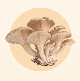 A cluster of fresh maitake mushrooms on a peach circle.