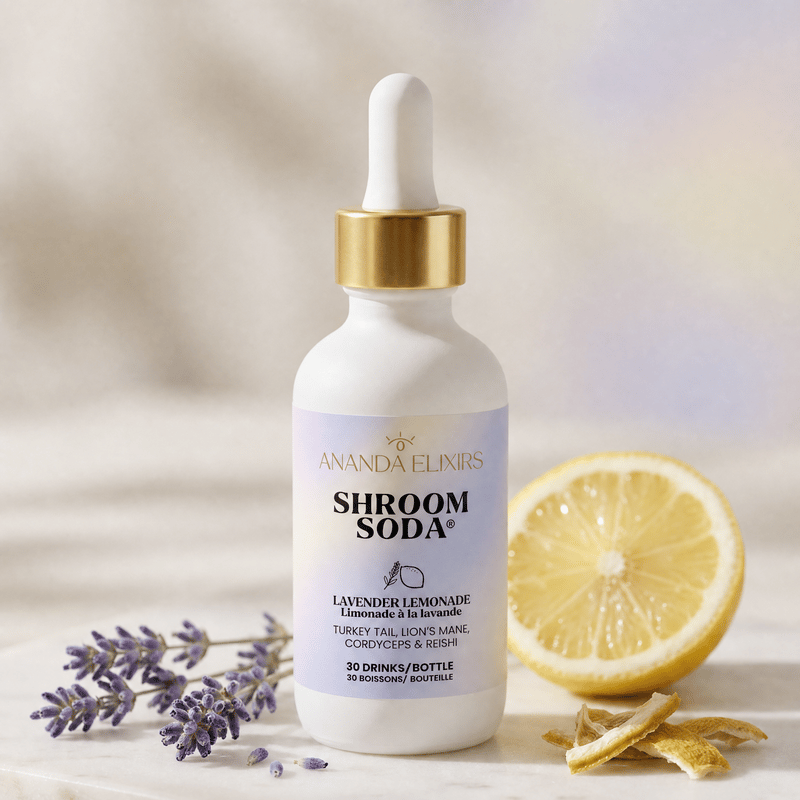 Lavender Lemonade Shroom Soda
