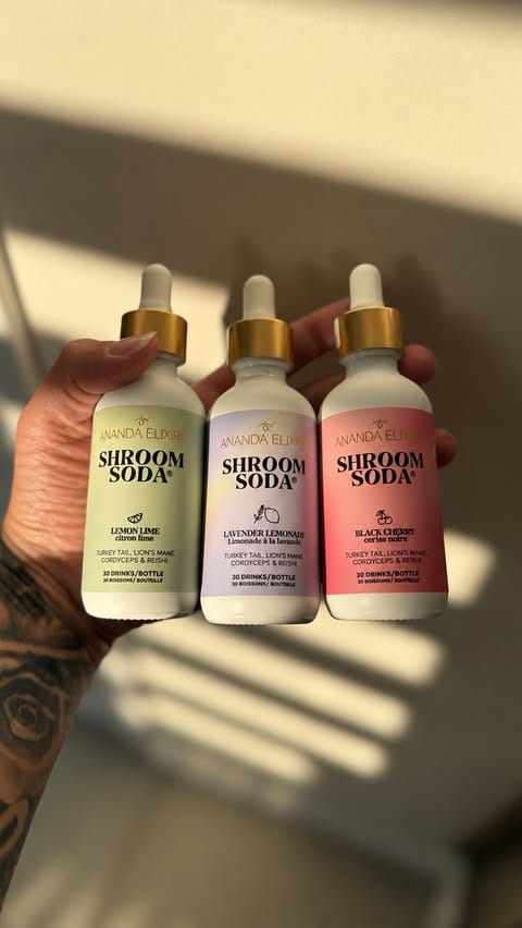 A hand holding three Shroom Soda bottles against a sunlit wall